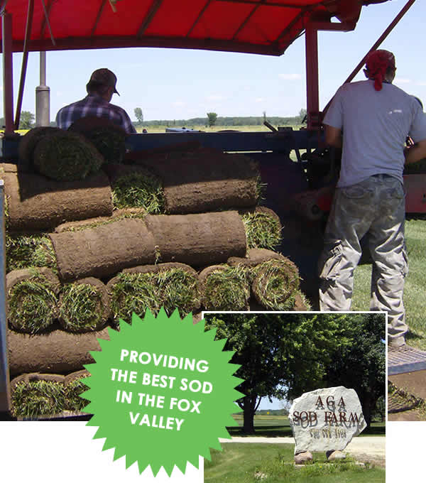 Family Built on Hard Work and Quality Sod