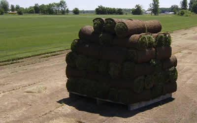 AGA Sod Farm - Landscapers